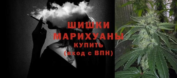 дурь Нягань
