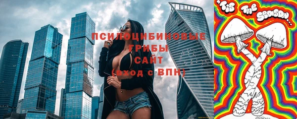 прущие грибы Протвино