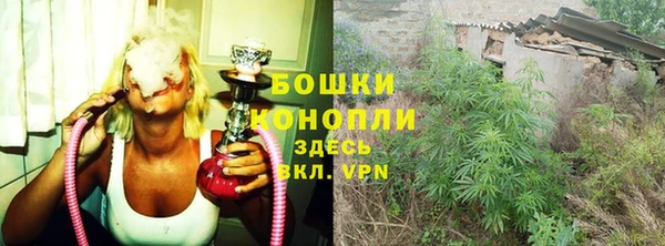 дурь Нягань