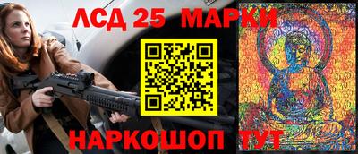 гидра Гатчина