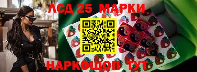 МДПВ Гай