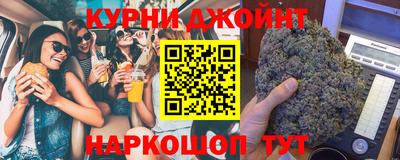 гидра Гатчина