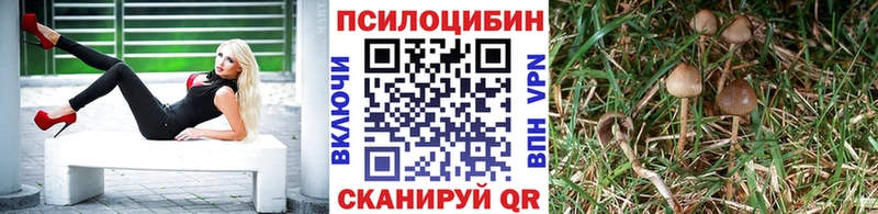 Галлюциногенные грибы Cubensis  маркетплейс какой сайт  Сатка  где купить наркоту 