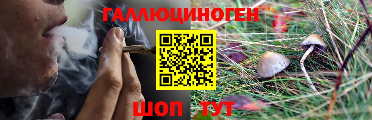 Псилоцибиновые грибы GOLDEN TEACHER  Галлюциногенные грибы мицелий  Сатка 