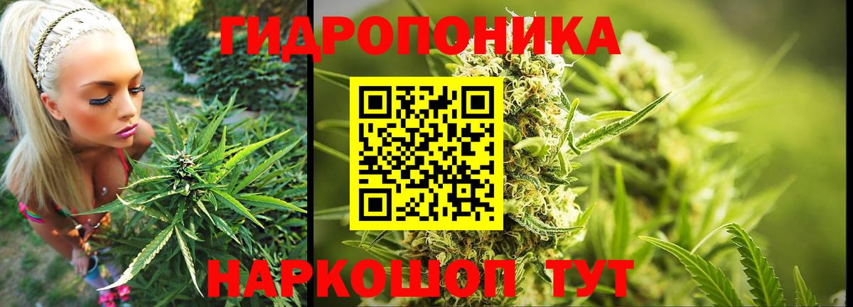 Марихуана Bruce Banner  Каннабис конопля  Вход с VPN  Сатка  Канабис MAZAR 